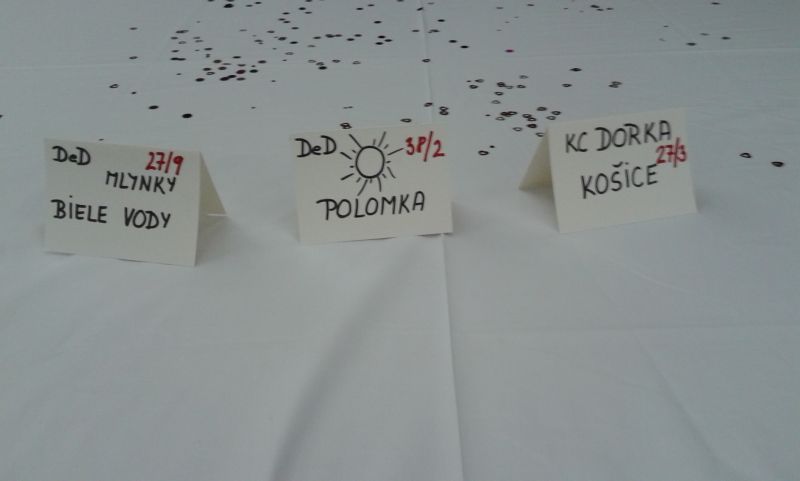 koncert UAD 2012 ine 003