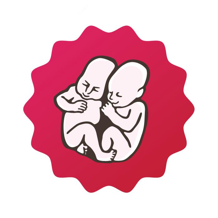 Pohoda logo